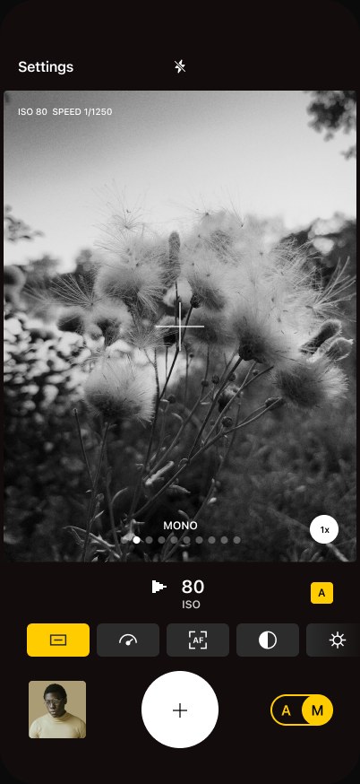 Ordinary camera screen — seed heads against the sky, film look Mono