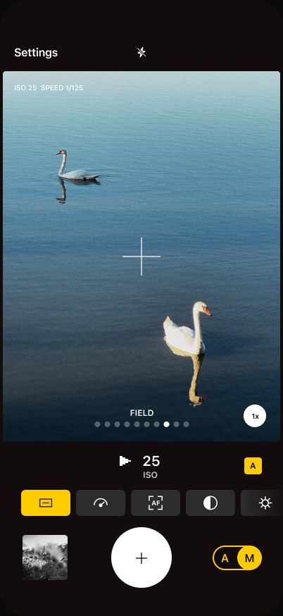 Ordinary camera screen — two swans on dark water, film look Field