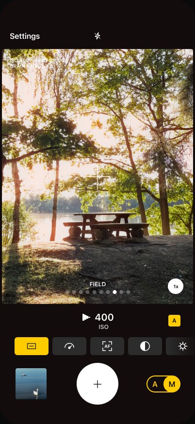Ordinary camera screen — a picnic table under trees at golden hour, film look Field