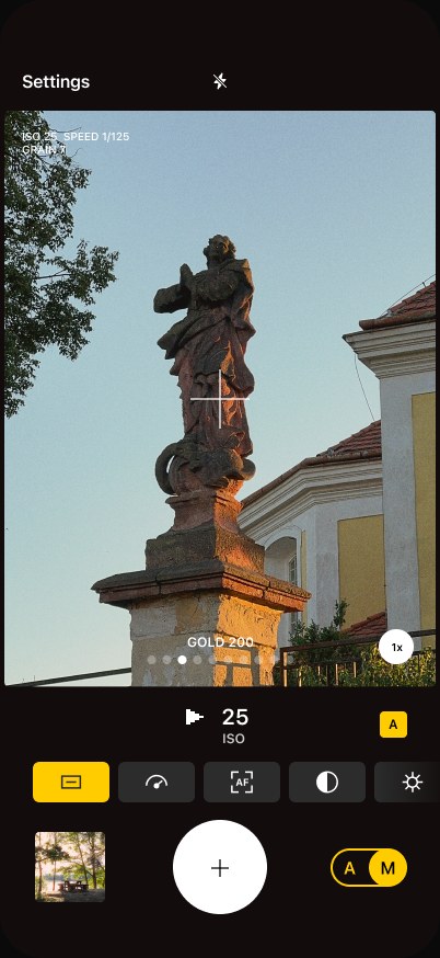 Ordinary camera screen — a baroque statue at dusk, film look Gold 200